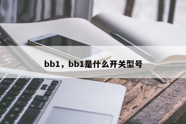 bb1，bb1是什么开关型号