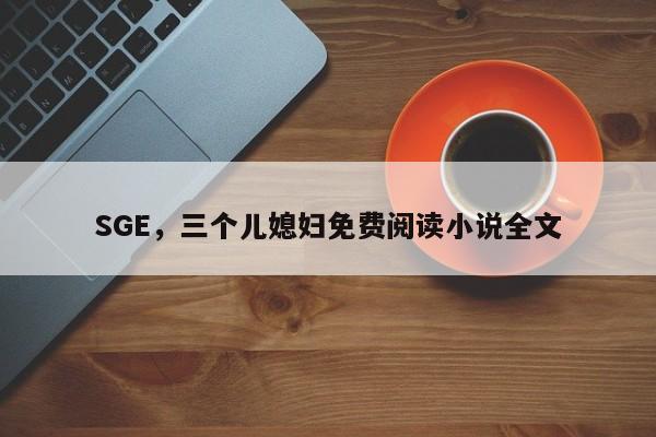 SGE，三个儿媳妇免费阅读小说全文
