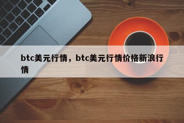 btc美元行情，btc美元行情价格新浪行情