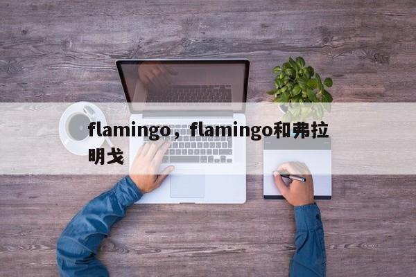 flamingo，flamingo和弗拉明戈