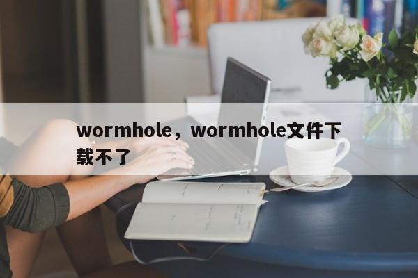 wormhole，wormhole文件下载不了