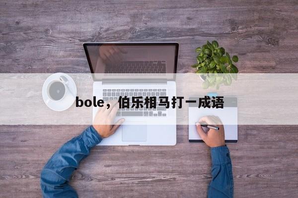 bole，伯乐相马打一成语