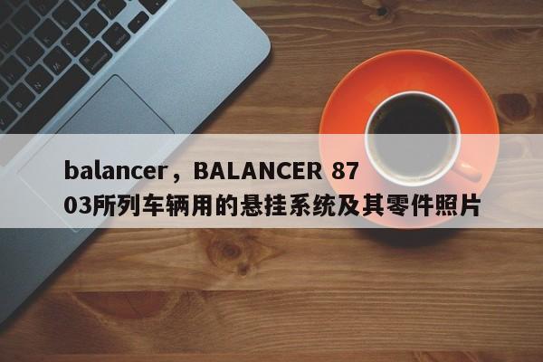 balancer，BALANCER 8703所列车辆用的悬挂系统及其零件照片