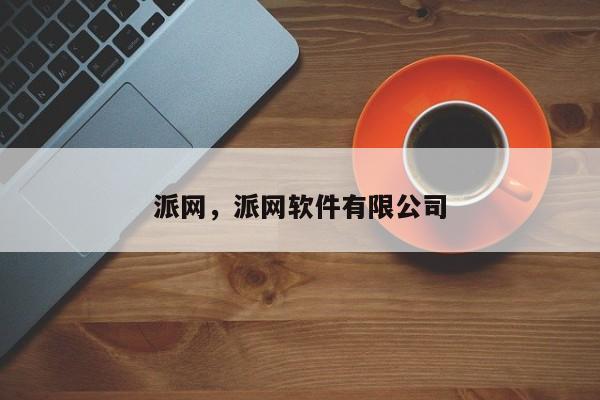 派网，派网软件有限公司