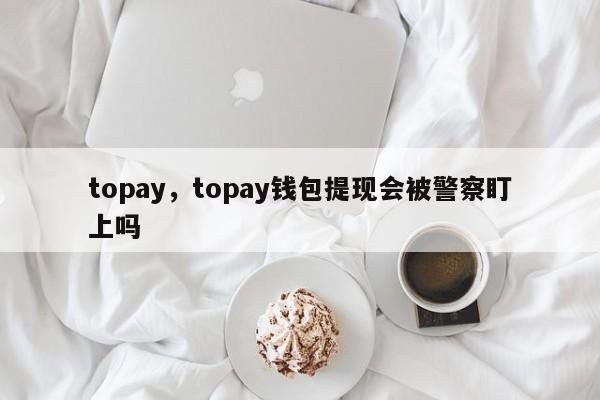 topay，topay钱包提现会被警察盯上吗