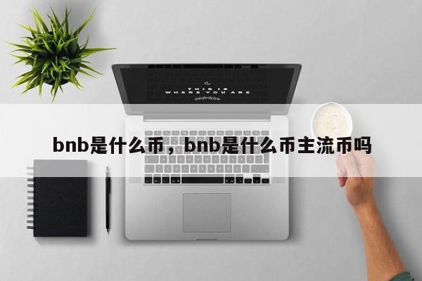 bnb是什么币，bnb是什么币主流币吗