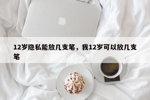 12岁隐私能放几支笔，我12岁可以放几支笔