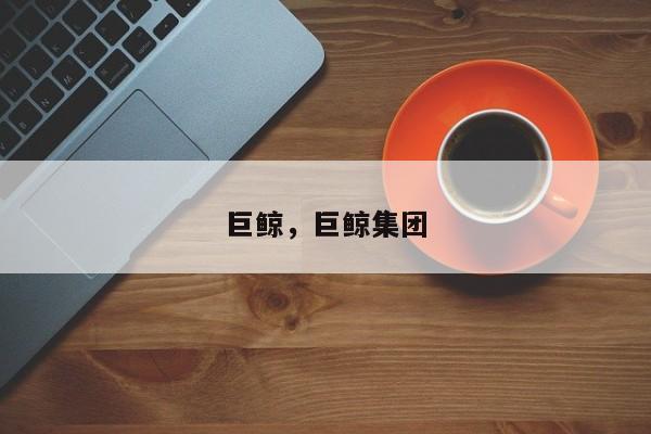 巨鲸，巨鲸集团