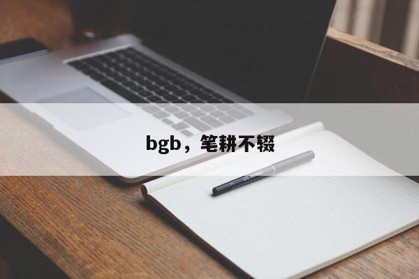 bgb，笔耕不辍