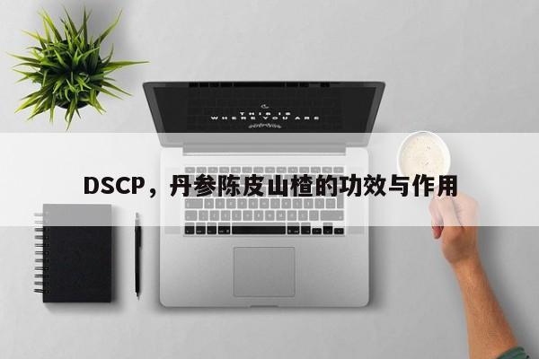 DSCP，丹参陈皮山楂的功效与作用