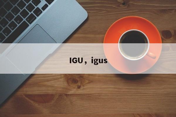 IGU，igus