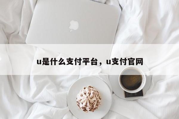 u是什么支付平台，u支付官网