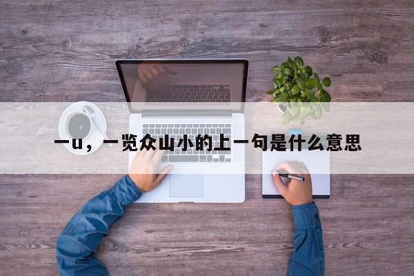 一u，一览众山小的上一句是什么意思