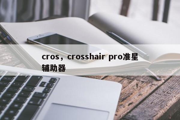 cros，crosshair pro准星辅助器