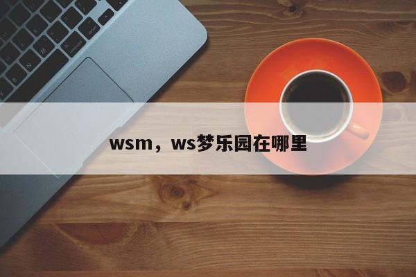 wsm，ws梦乐园在哪里