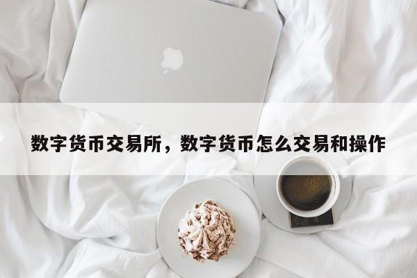 数字货币交易所，数字货币怎么交易和操作