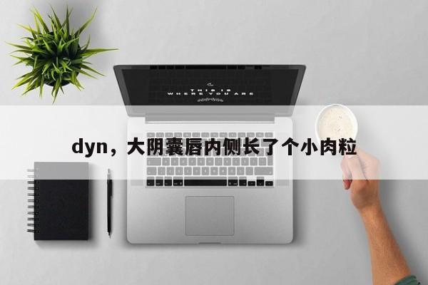 dyn，大阴囊唇内侧长了个小肉粒
