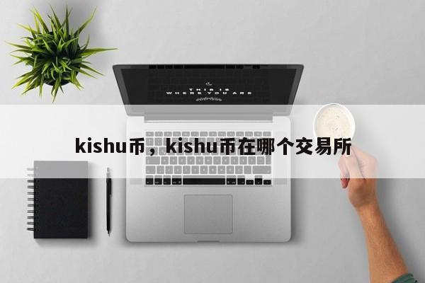 kishu币，kishu币在哪个交易所