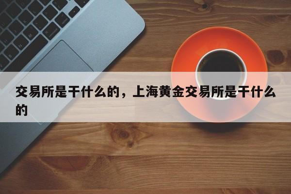交易所是干什么的，上海黄金交易所是干什么的