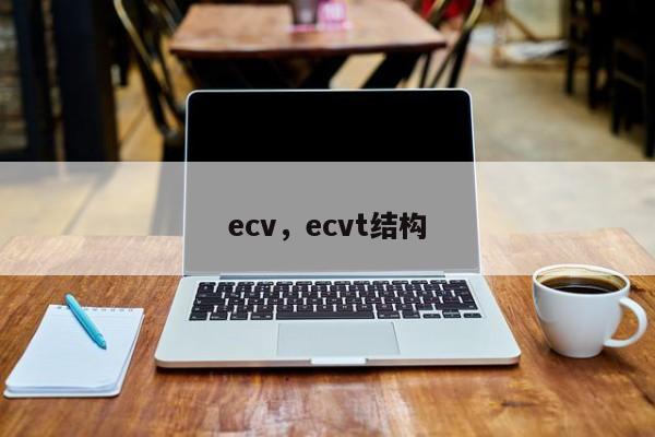 ecv，ecvt结构