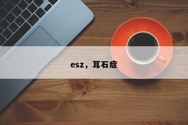esz，耳石症