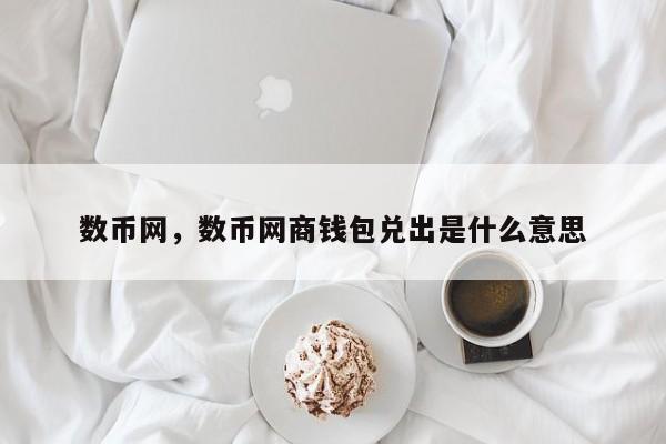 数币网，数币网商钱包兑出是什么意思