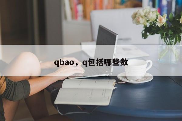 qbao，q包括哪些数