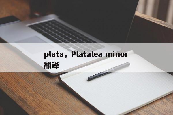 plata，Platalea minor翻译