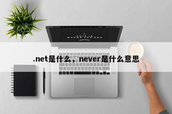 .net是什么，never是什么意思
