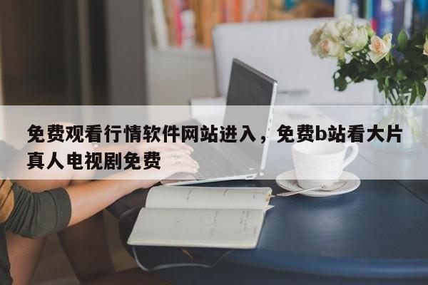 免费观看行情软件网站进入，免费b站看大片真人电视剧免费