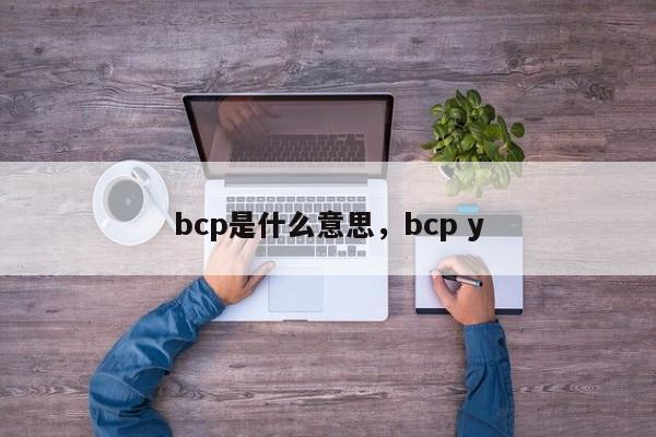 bcp是什么意思，bcp y