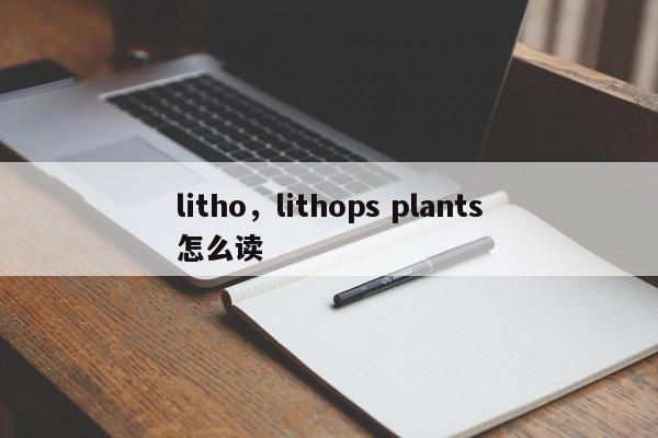 litho，lithops plants怎么读