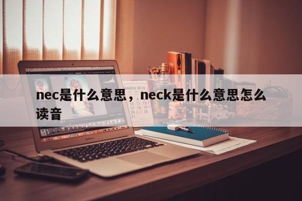 nec是什么意思，neck是什么意思怎么读音