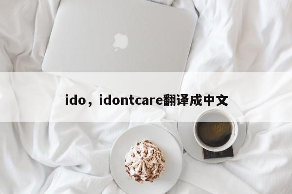 ido，idontcare翻译成中文