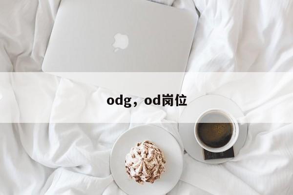 odg，od岗位