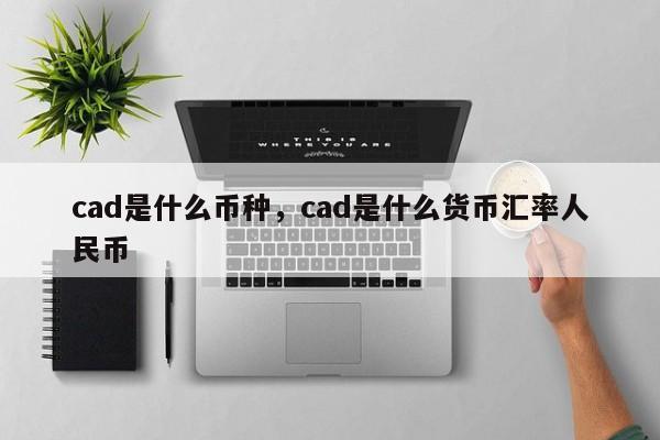 cad是什么币种，cad是什么货币汇率人民币