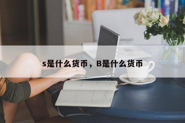 s是什么货币，B是什么货币
