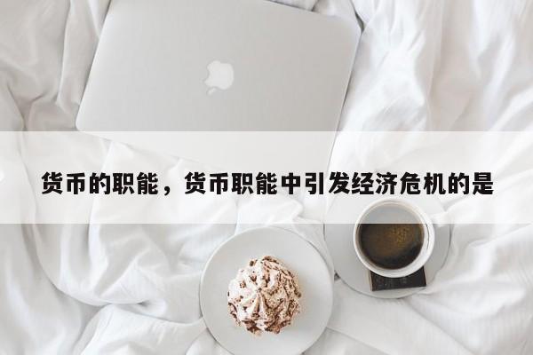 货币的职能，货币职能中引发经济危机的是