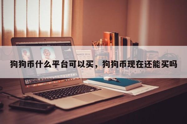 狗狗币什么平台可以买，狗狗币现在还能买吗