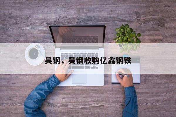 吴钢，吴钢收购亿鑫钢铁