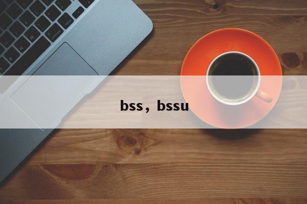 bss,bssu